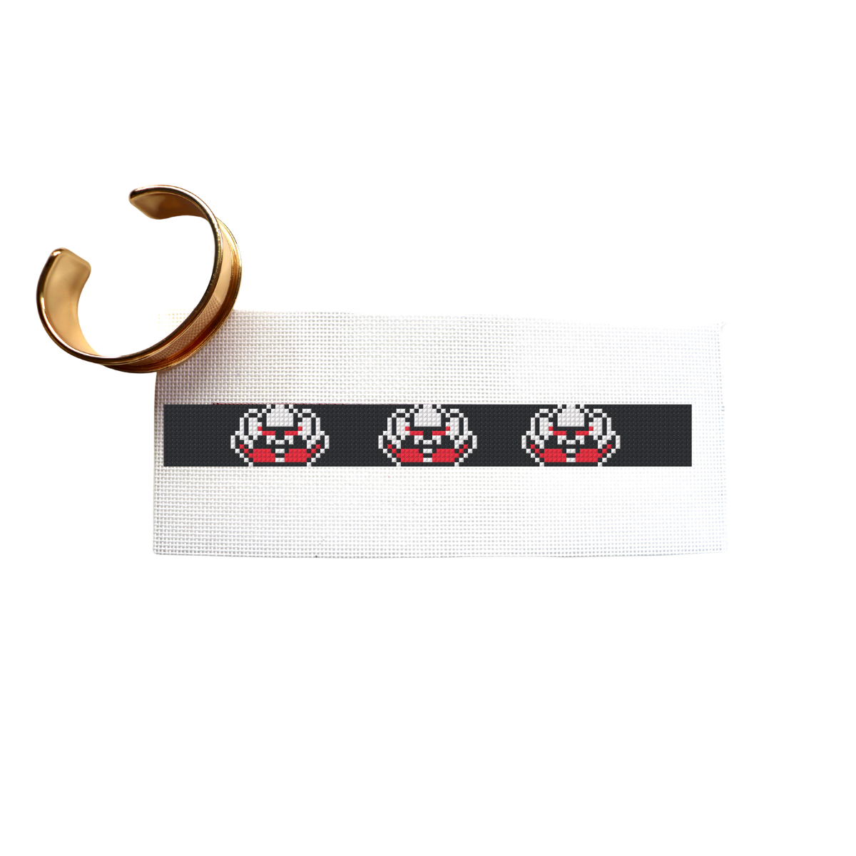 PREORDER - Raider Needlepoint Kit
