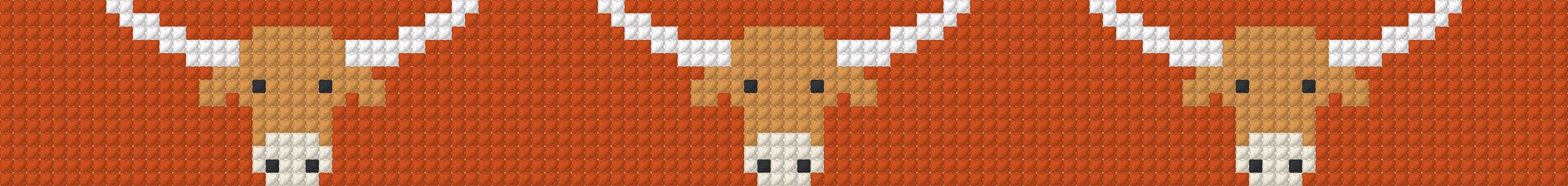 PREORDER - Longhorn Needlepoint Kit